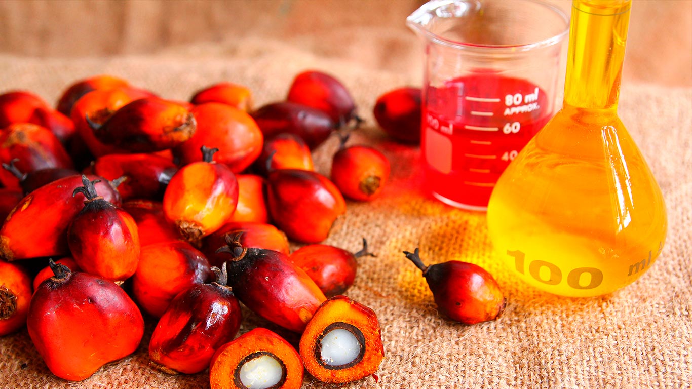 Рассказываем о вреде пальмового масла